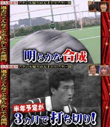 歴史的大コケをした作品