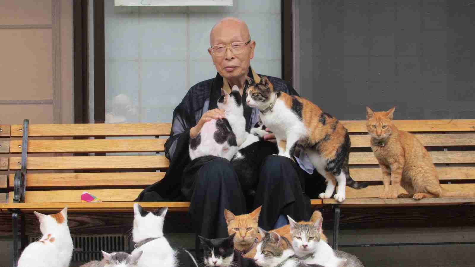 穏やかな優しい画像