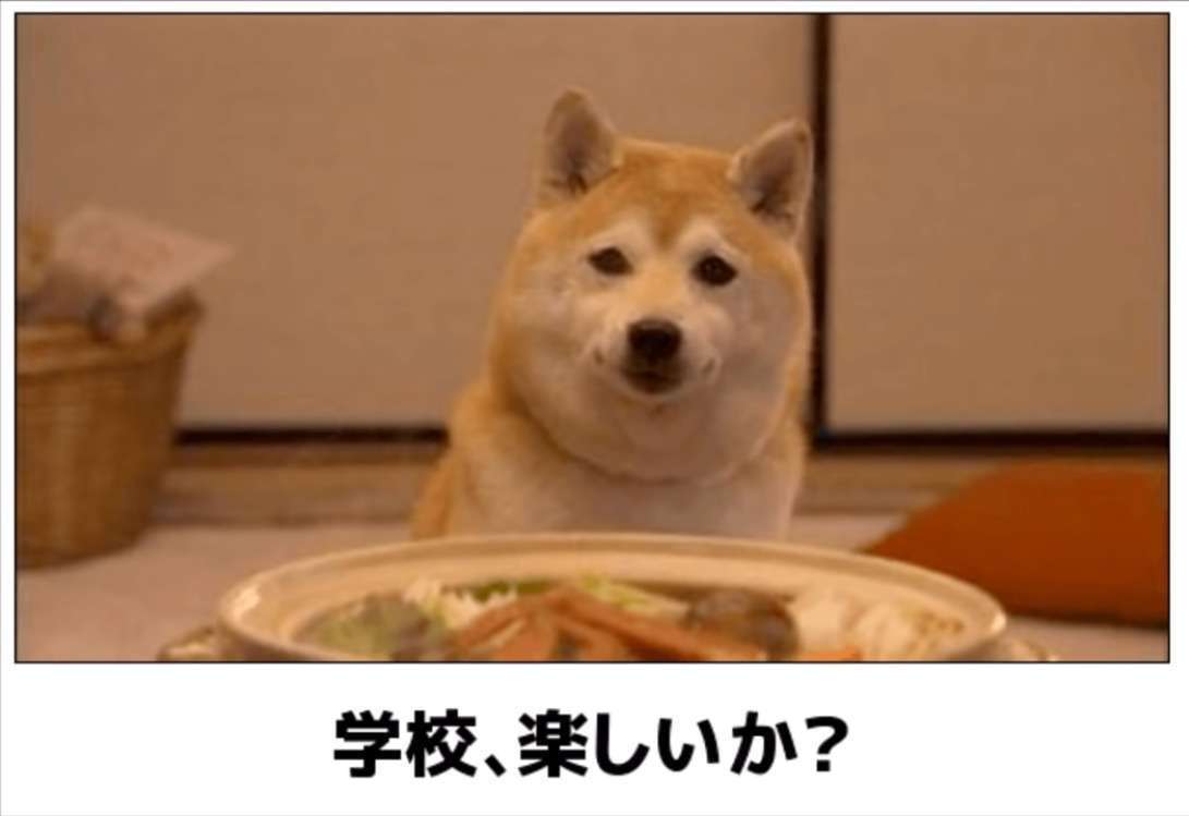 穏やかな優しい画像