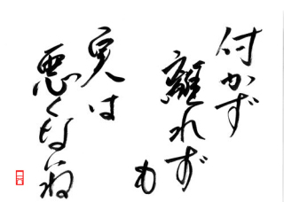 長年続いてる友達とはどんな関係ですか？