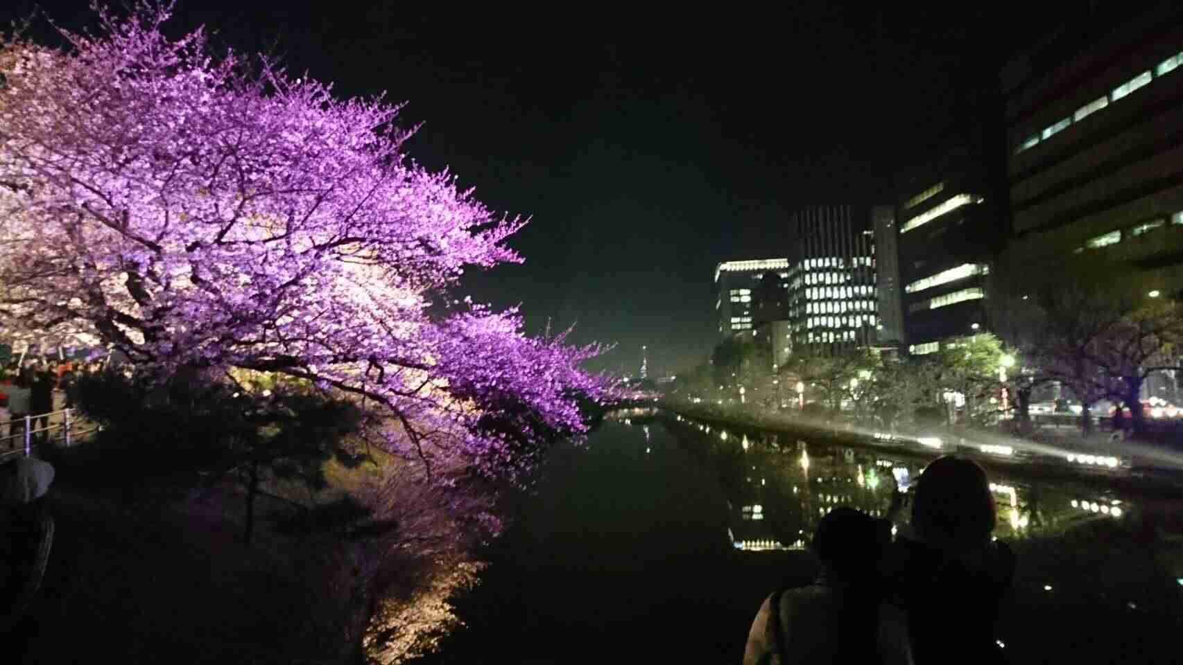 がるちゃん民の撮影した桜が見たい!
