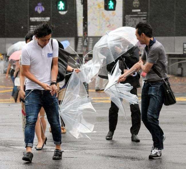 風に吹かれている画像下さい。