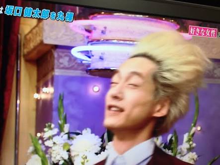 風に吹かれている画像下さい。