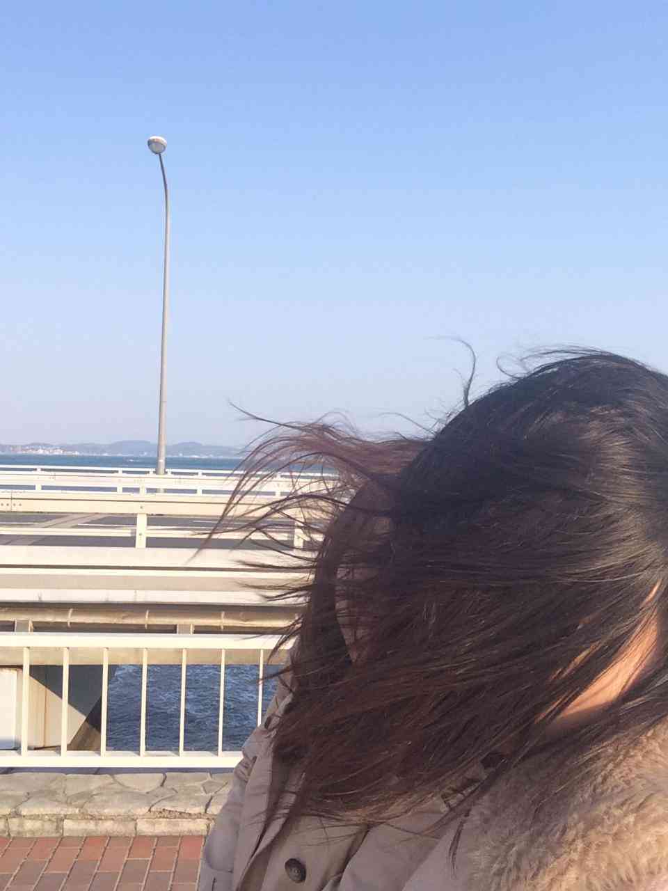 風に吹かれている画像下さい。