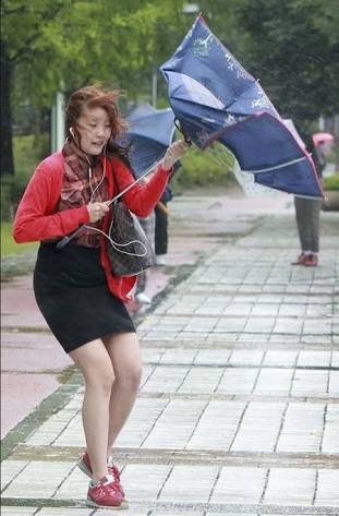 風に吹かれている画像下さい。