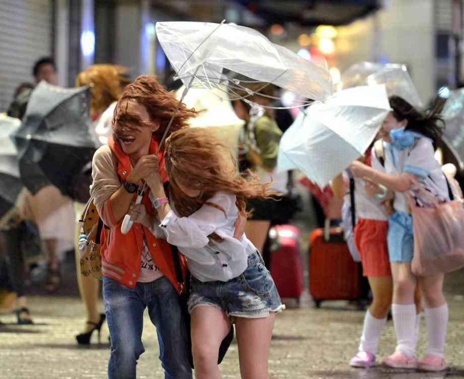 風に吹かれている画像下さい。