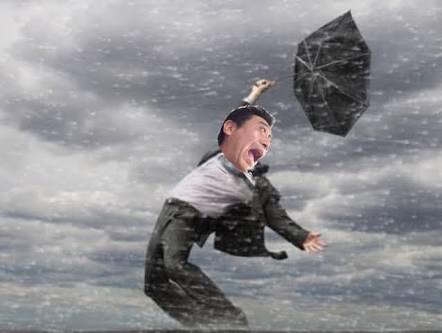 風に吹かれている画像下さい。