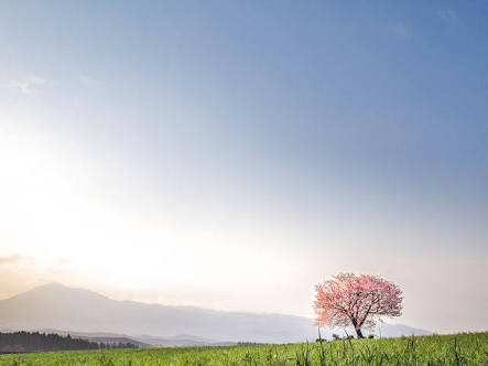 週末！年代問わず雑談トピ
