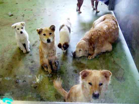 若者の方が意外と優しい説