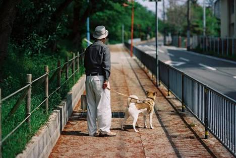 犬の世界にガルちゃんがあったら