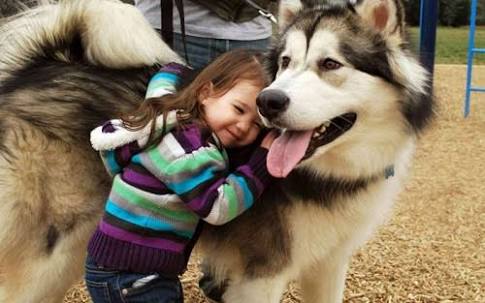 犬の世界にガルちゃんがあったら