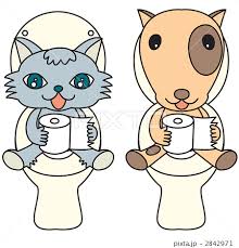 おすすめのトイレットペーパー