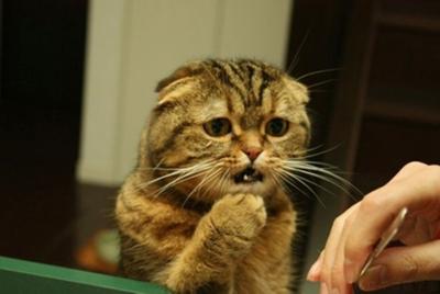【スギちゃん】出逢いあり別れありの新しい季節だぜぇ。頑張ろうぜぇ。パート10