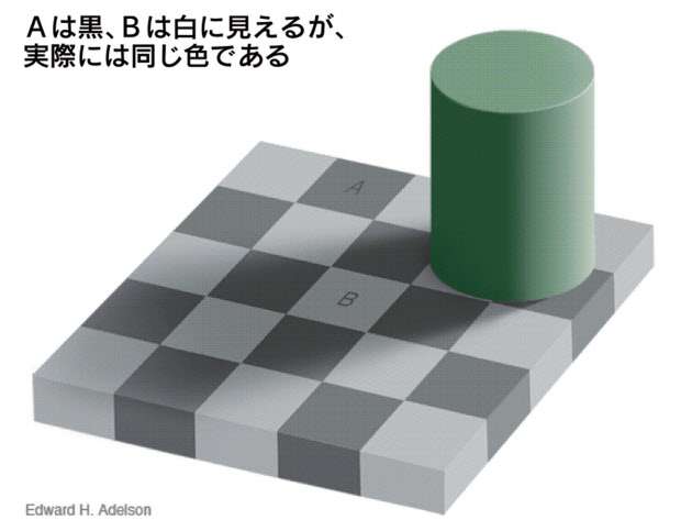 画像を貼ってどっちに見えるか聞いてみるトピ