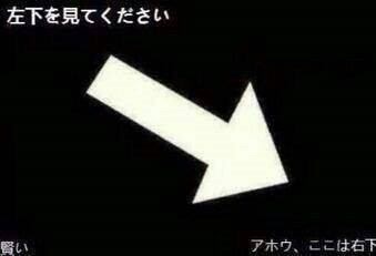 画像を貼ってどっちに見えるか聞いてみるトピ