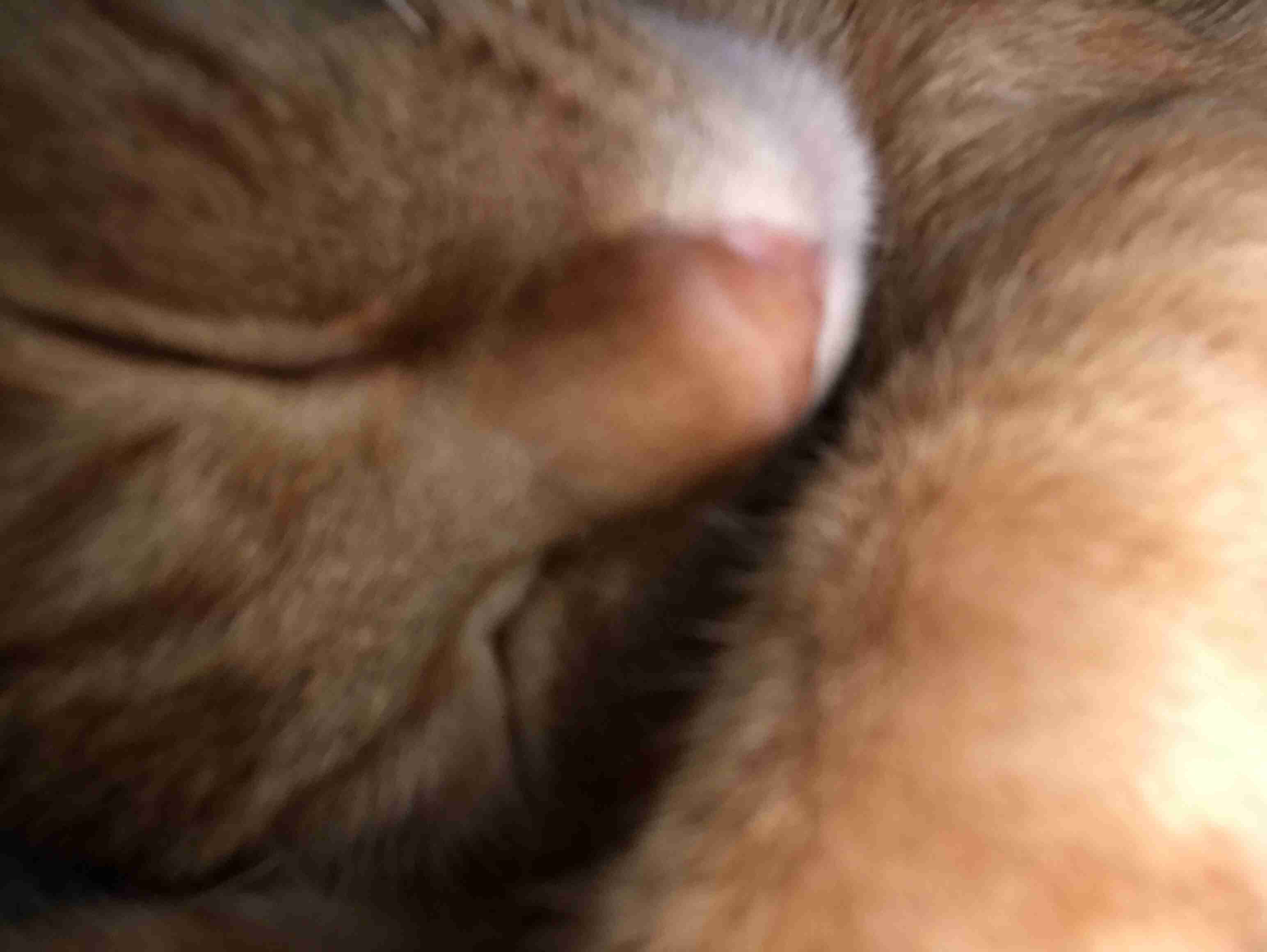 今日これといった予定のない人がコメントしに来るトピ