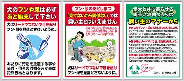 理解出来ない行動