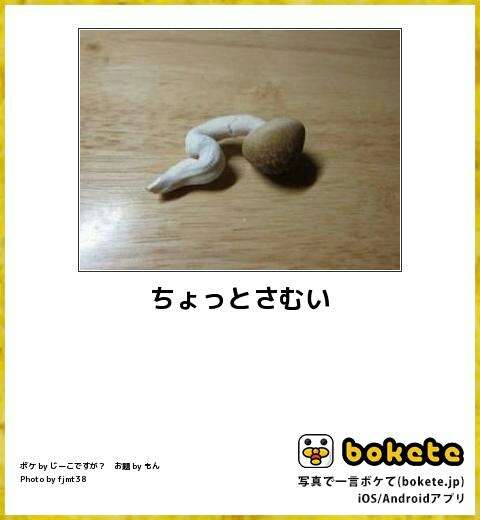 週末雑談トピ part 6