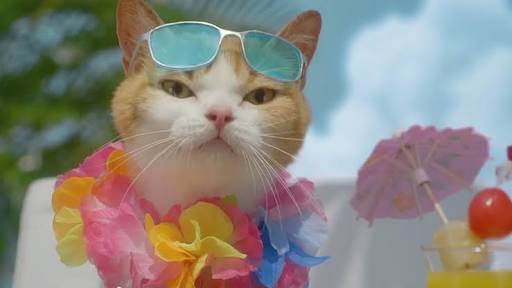 夏を感じるCM画像を貼るトピ