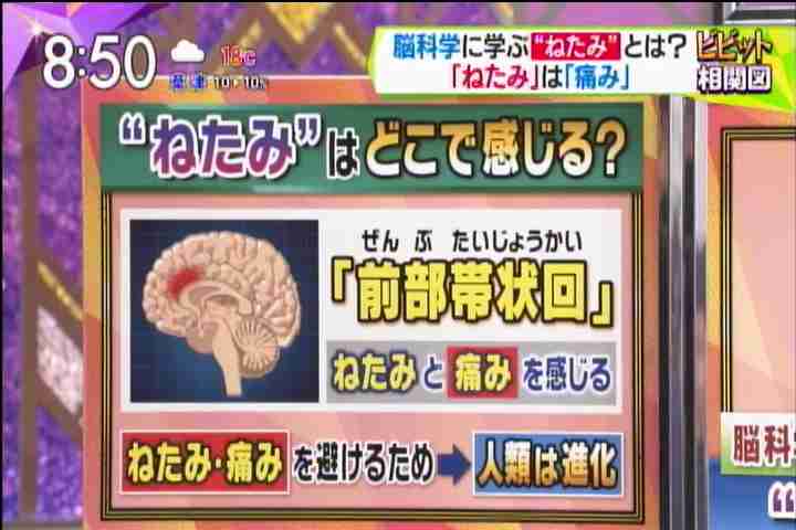 完璧な女性周りにいますか？