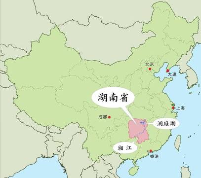 『名探偵コナン』好きな人