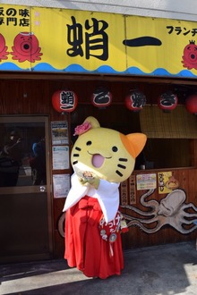 ガルちゃん猫カフェ15号店開店しました♪（初めての方も大歓迎！） 