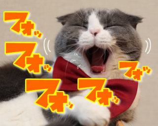 ガルちゃん猫カフェ15号店開店しました♪（初めての方も大歓迎！） 