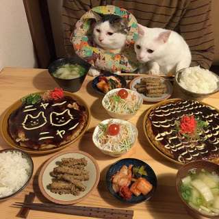 ガルちゃん猫カフェ15号店開店しました♪（初めての方も大歓迎！） 