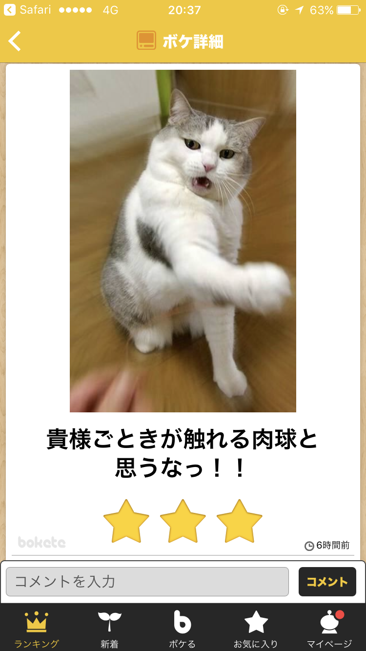 ガルちゃん猫カフェ15号店開店しました♪（初めての方も大歓迎！） 