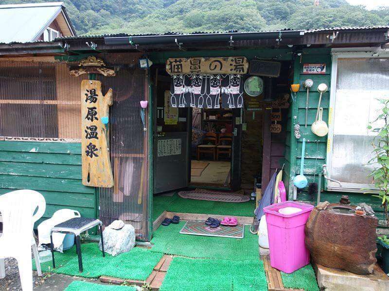 ガルちゃん猫カフェ15号店開店しました♪（初めての方も大歓迎！） 