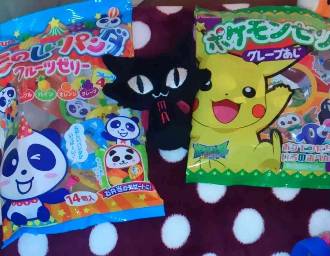 ガルちゃん猫カフェ15号店開店しました♪（初めての方も大歓迎！） 