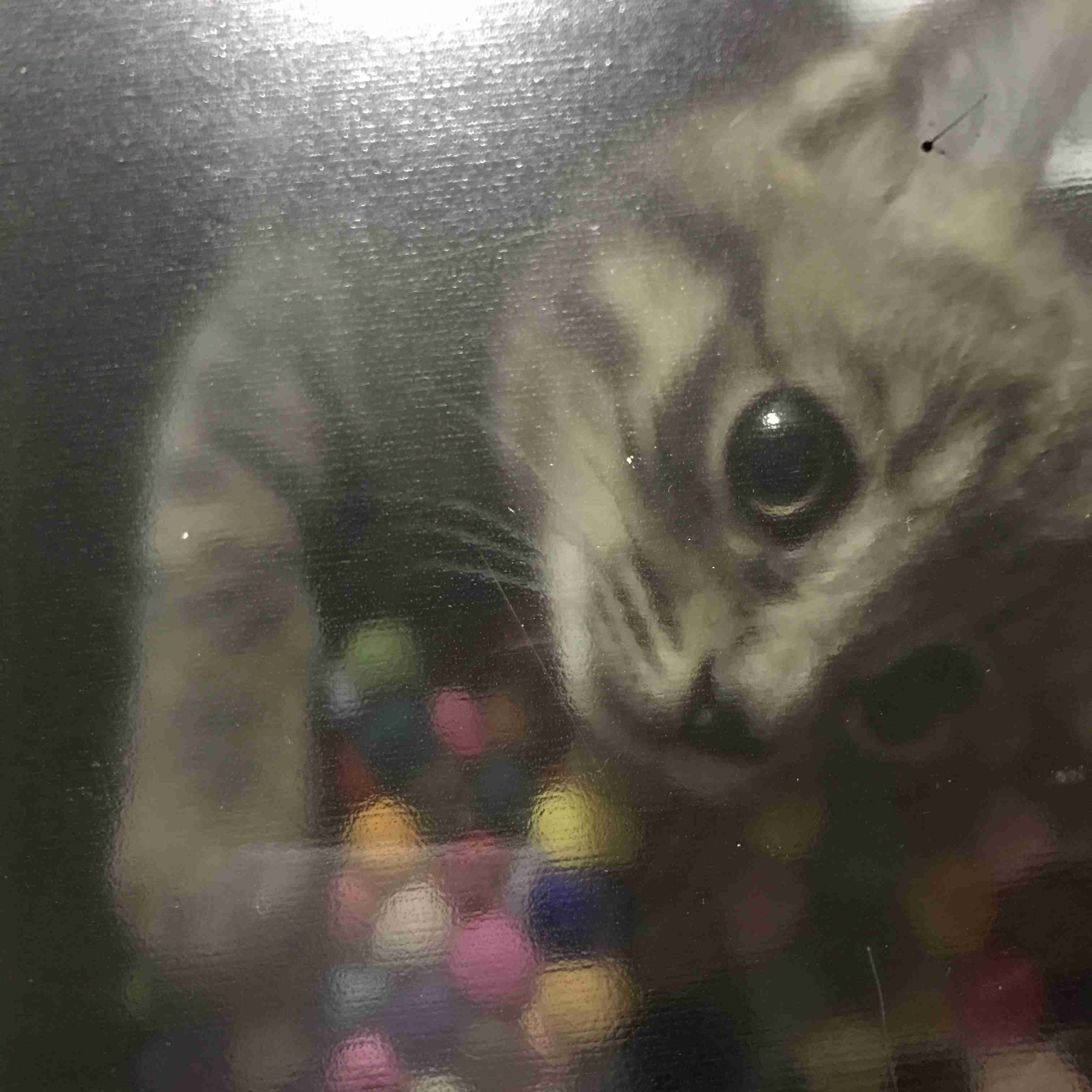 ガルちゃん猫カフェ15号店開店しました♪（初めての方も大歓迎！） 