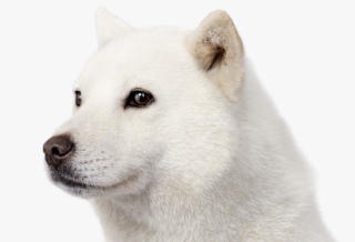 お父さん大嫌いな人