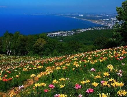 写真だけでどこの都道府県(都市)か当てるトピ