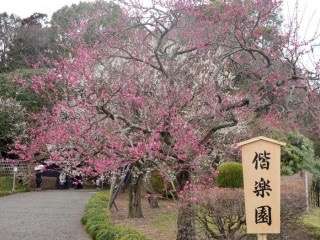 写真だけでどこの都道府県(都市)か当てるトピ