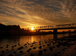 写真だけでどこの都道府県(都市)か当てるトピ
