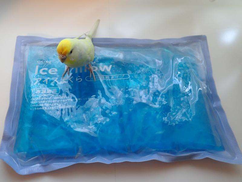 青の画像貼るトピ