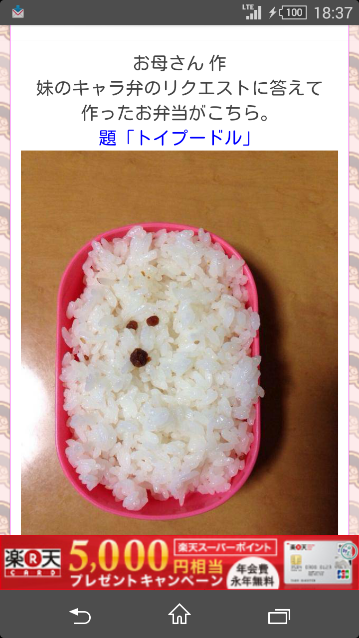 可愛い犬の画像くださいませ