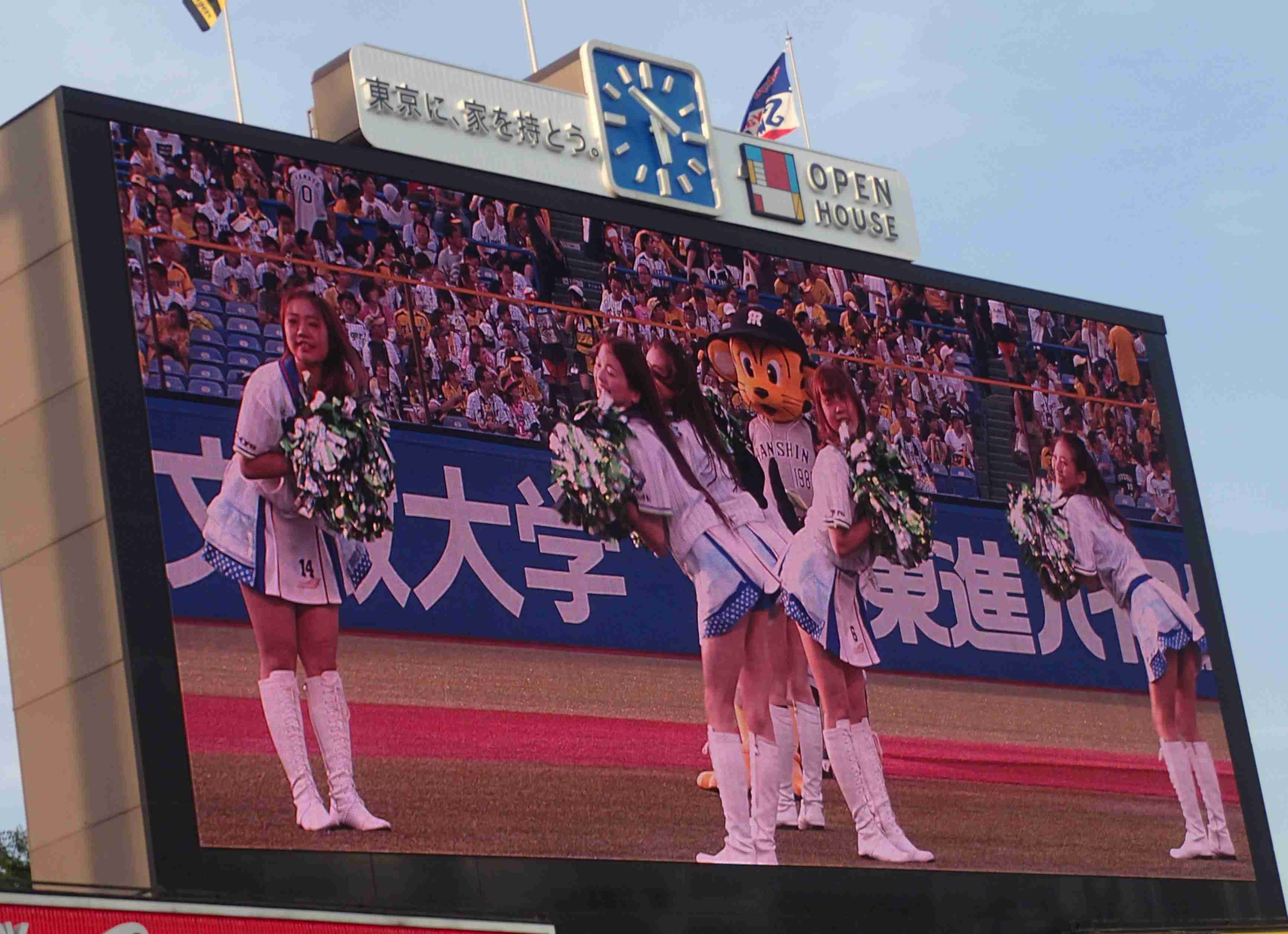 野球観戦あるある、語りましょう♪