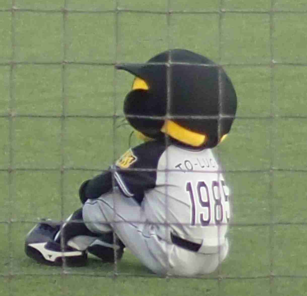 野球観戦あるある、語りましょう♪