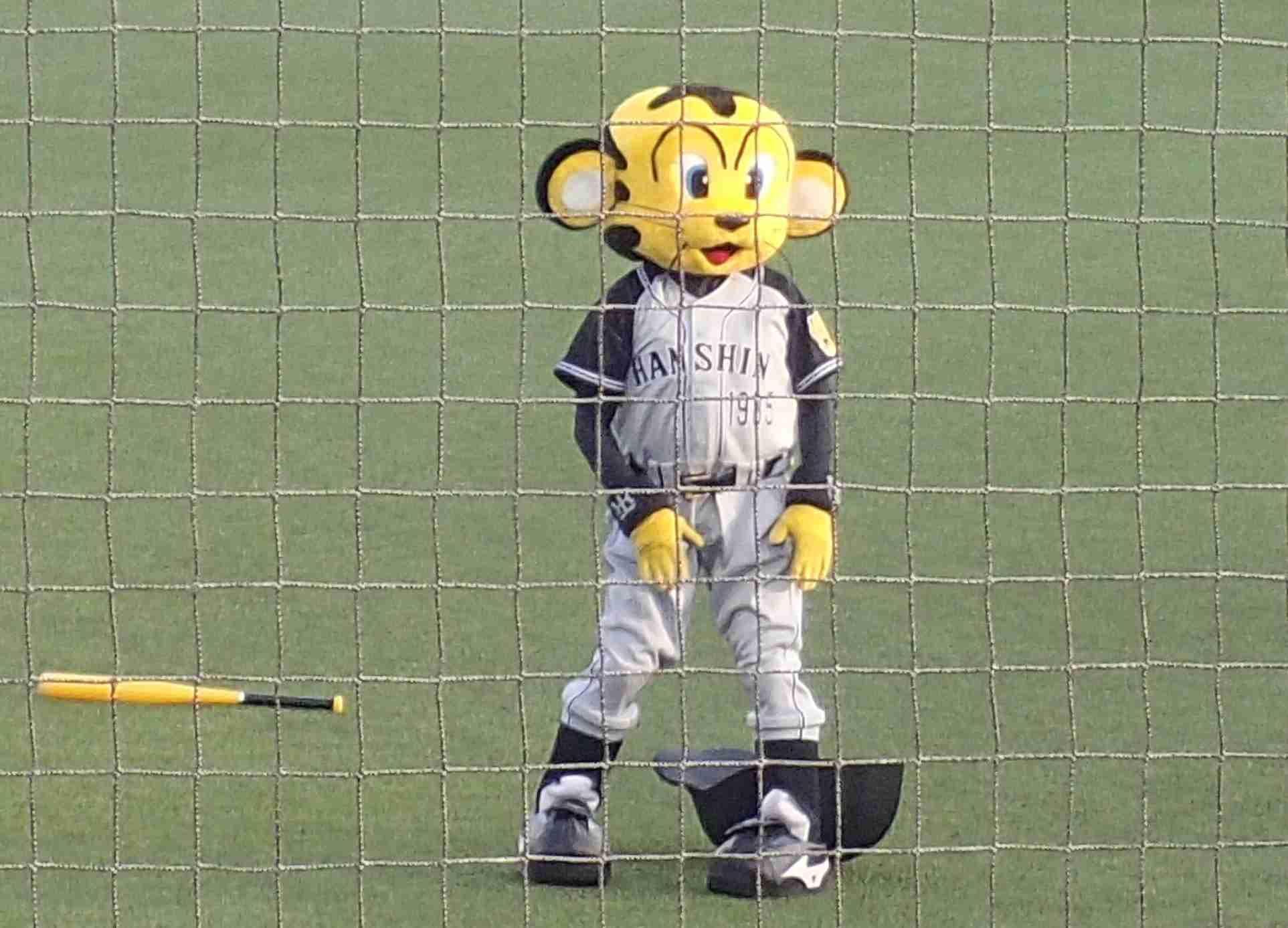 野球観戦あるある、語りましょう♪
