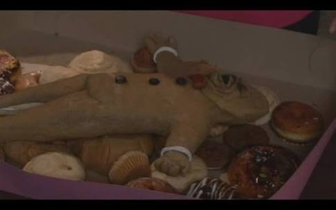 ガルちゃん民が選ぶ絶対におすすめしないクソ映画