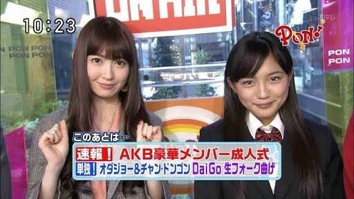鉢張りさん大集合