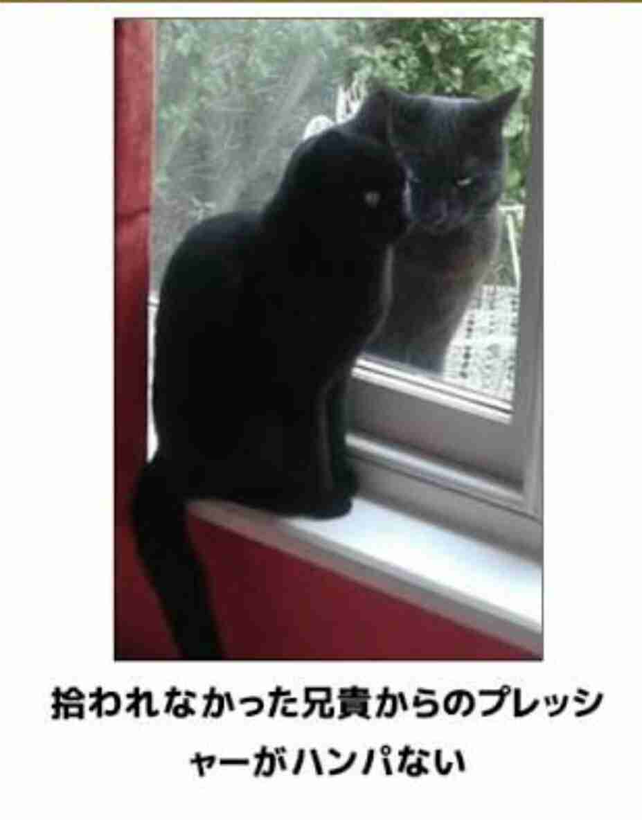 友人等に縁を切られた人