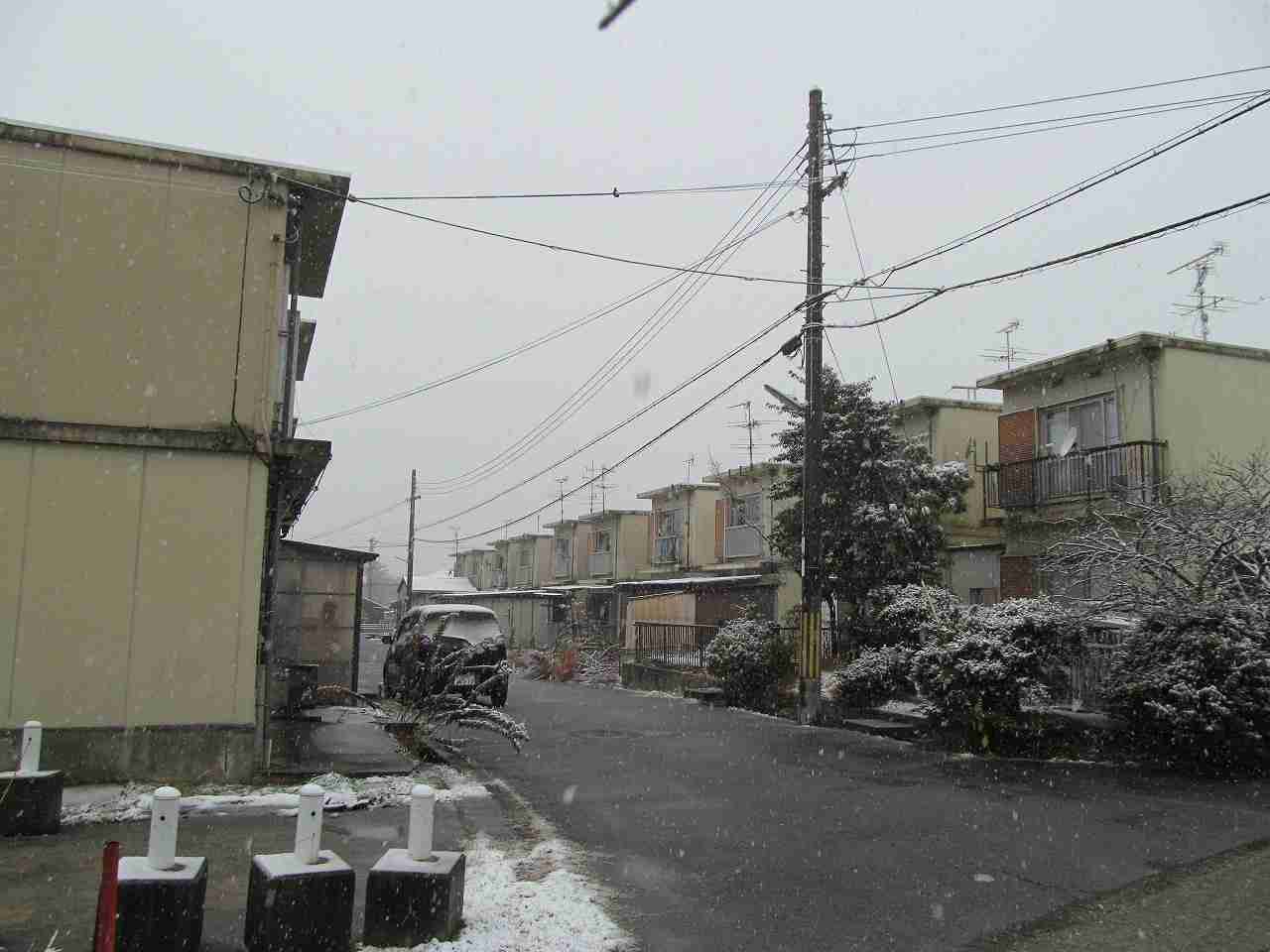 同和地区の男性との交際・結婚について