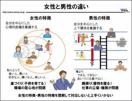 女性は男性より脳が小さく知能指数が劣るとイギリスメディアが報じる