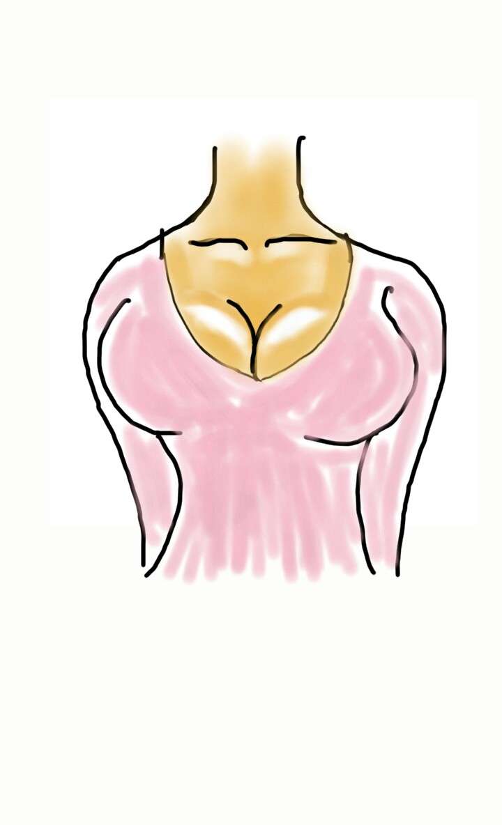 この顔の輪郭に描き足してください(お絵描き)