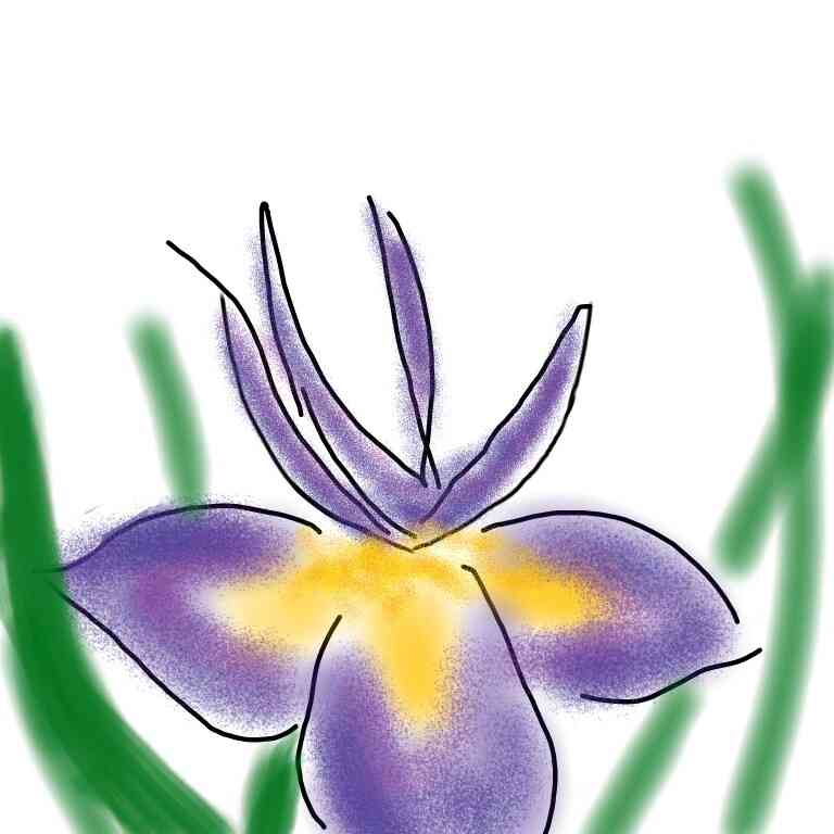 この顔の輪郭に描き足してください(お絵描き)