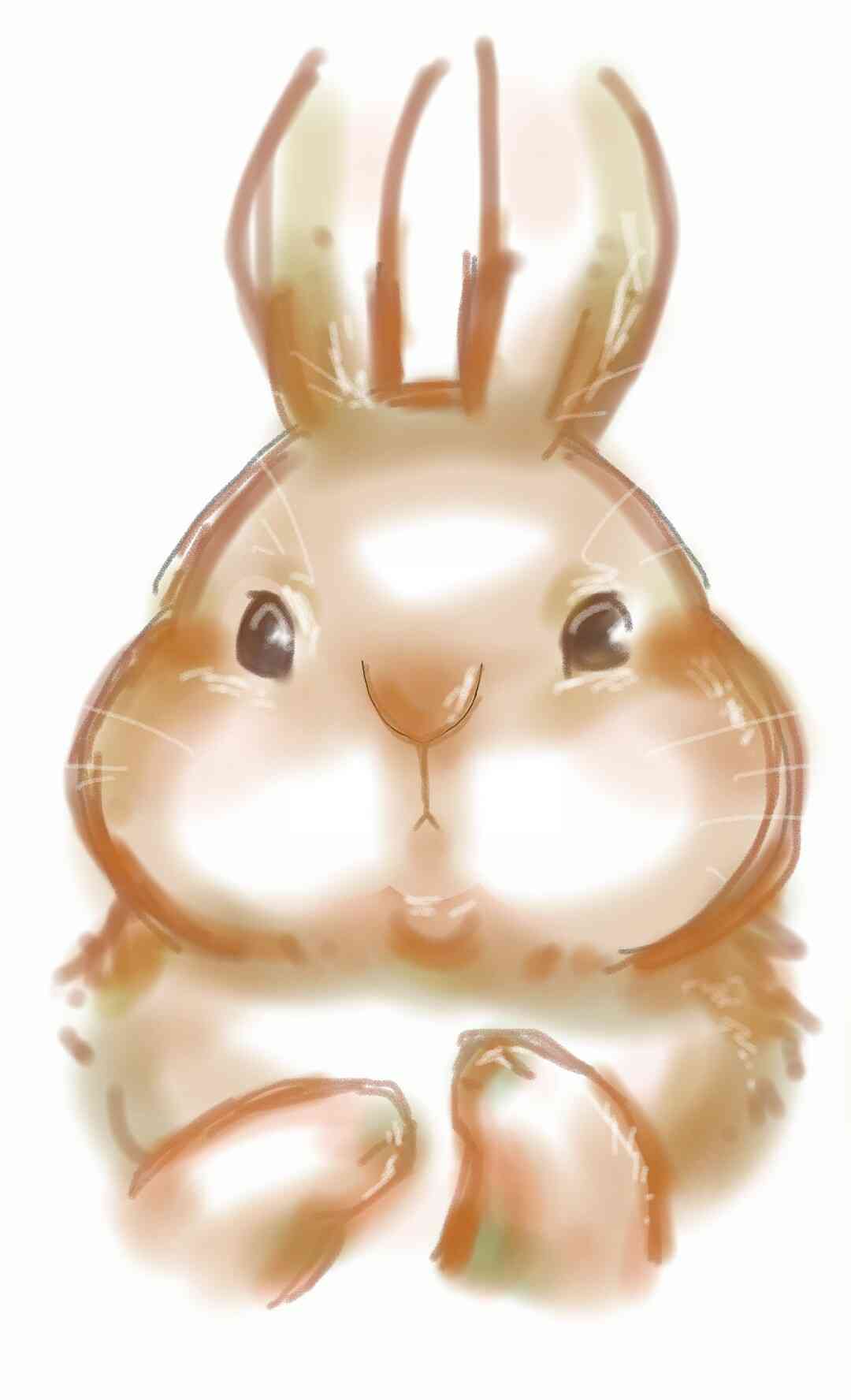 この顔の輪郭に描き足してください(お絵描き)