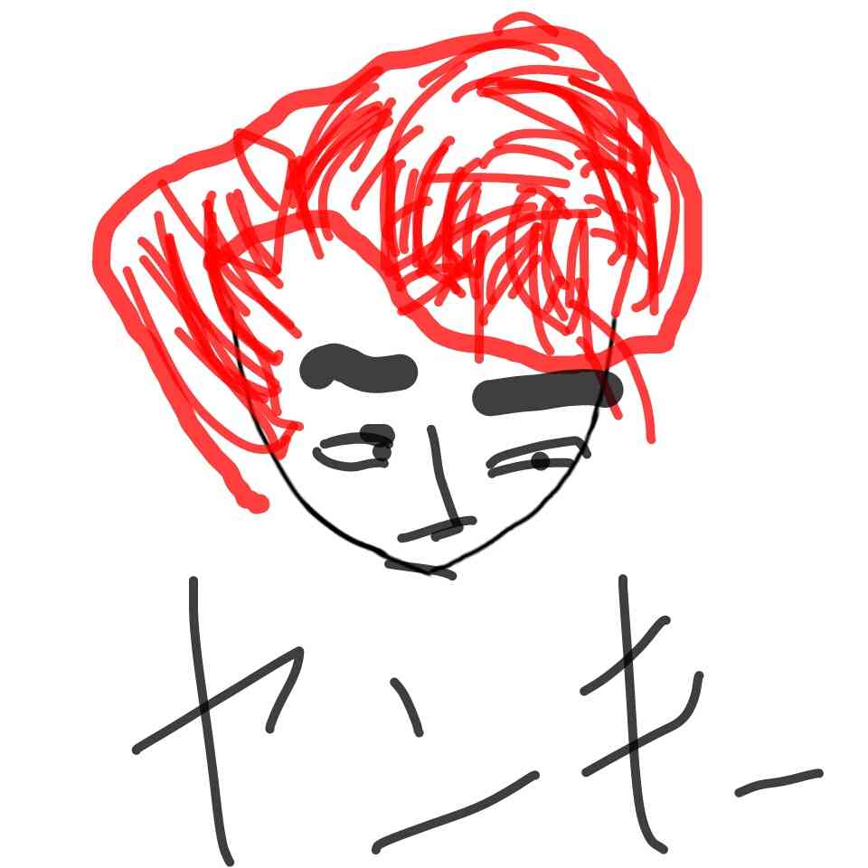 この顔の輪郭に描き足してください(お絵描き)